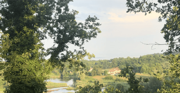 Valtenesi: wine tasting while walking overlooking Lake Garda