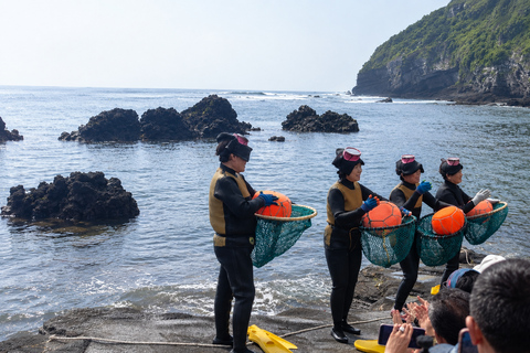Jeju: Full-Island Top Highlights Day Tour with UNESCO Sites