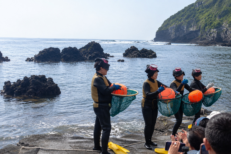 Jeju: Full-Island Top Highlights Day Tour with UNESCO Sites