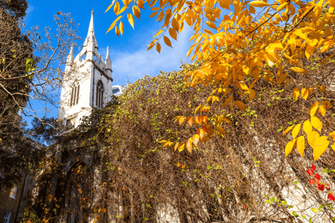 Londen: stadsrondleiding met gids en app