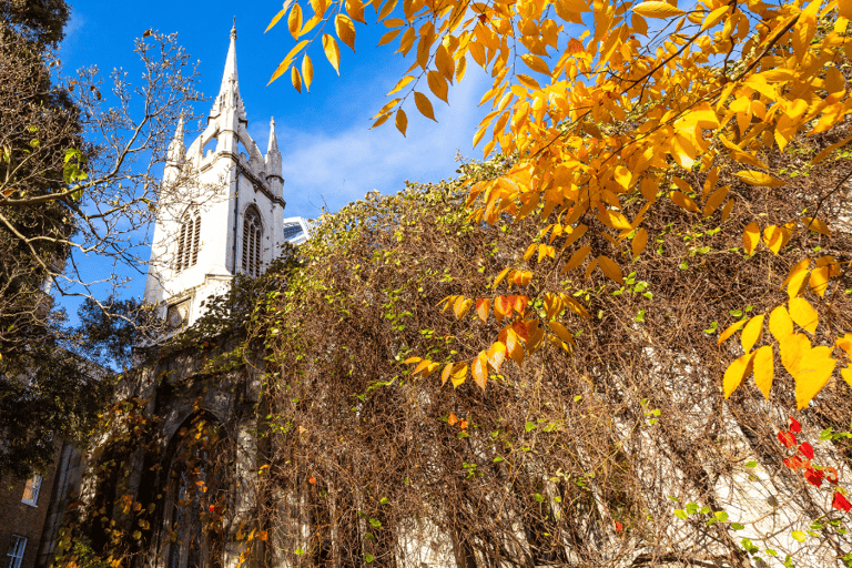 Londen: stadsrondleiding met gids en app