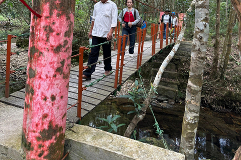 Excursão de trekking: Viagem de 1 dia ao Parque Nacional Bach Ma a partir de Hue