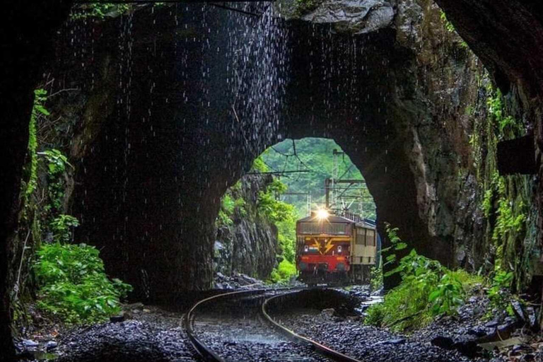 Kandy: Temple of Tooth, Train Ride, & Cave Waterfall Tour