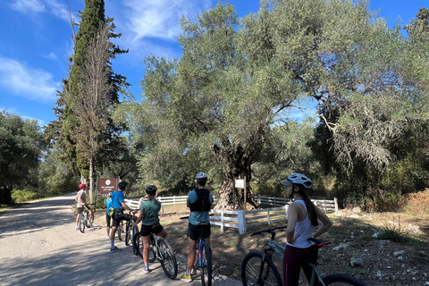 科孚岛：电动自行车之旅搭配橄榄油品鉴科孚岛：电动自行车游与橄榄油品鉴