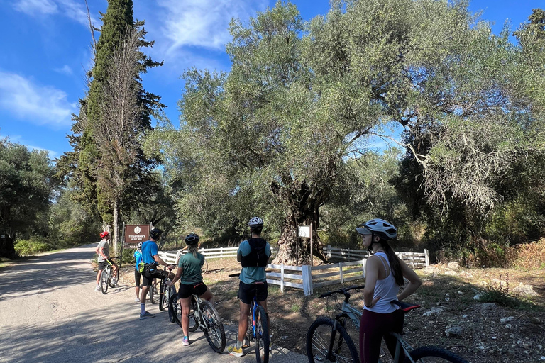 科孚岛：电动自行车之旅搭配橄榄油品鉴科孚岛：电动自行车游与橄榄油品鉴