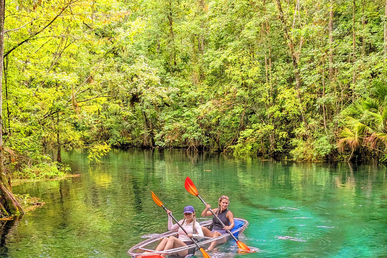 Silver Springs: Jungle Kayaking & Paddleboarding Adventure Paddleboard (Not a Kayak)