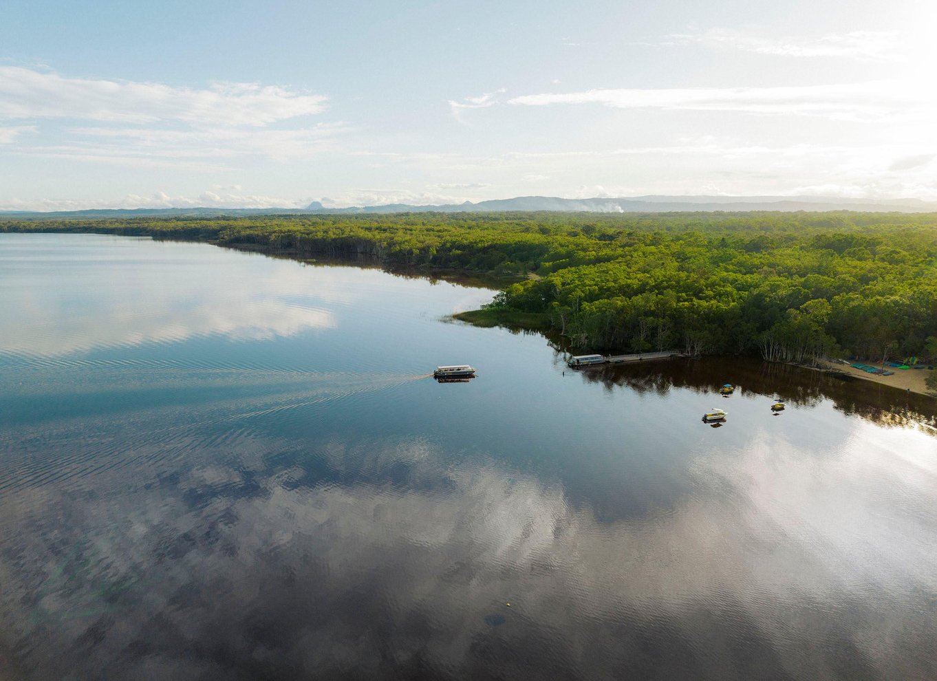 Noosa: Everglades Explorer-krydstogt med valgfri kanosejlads