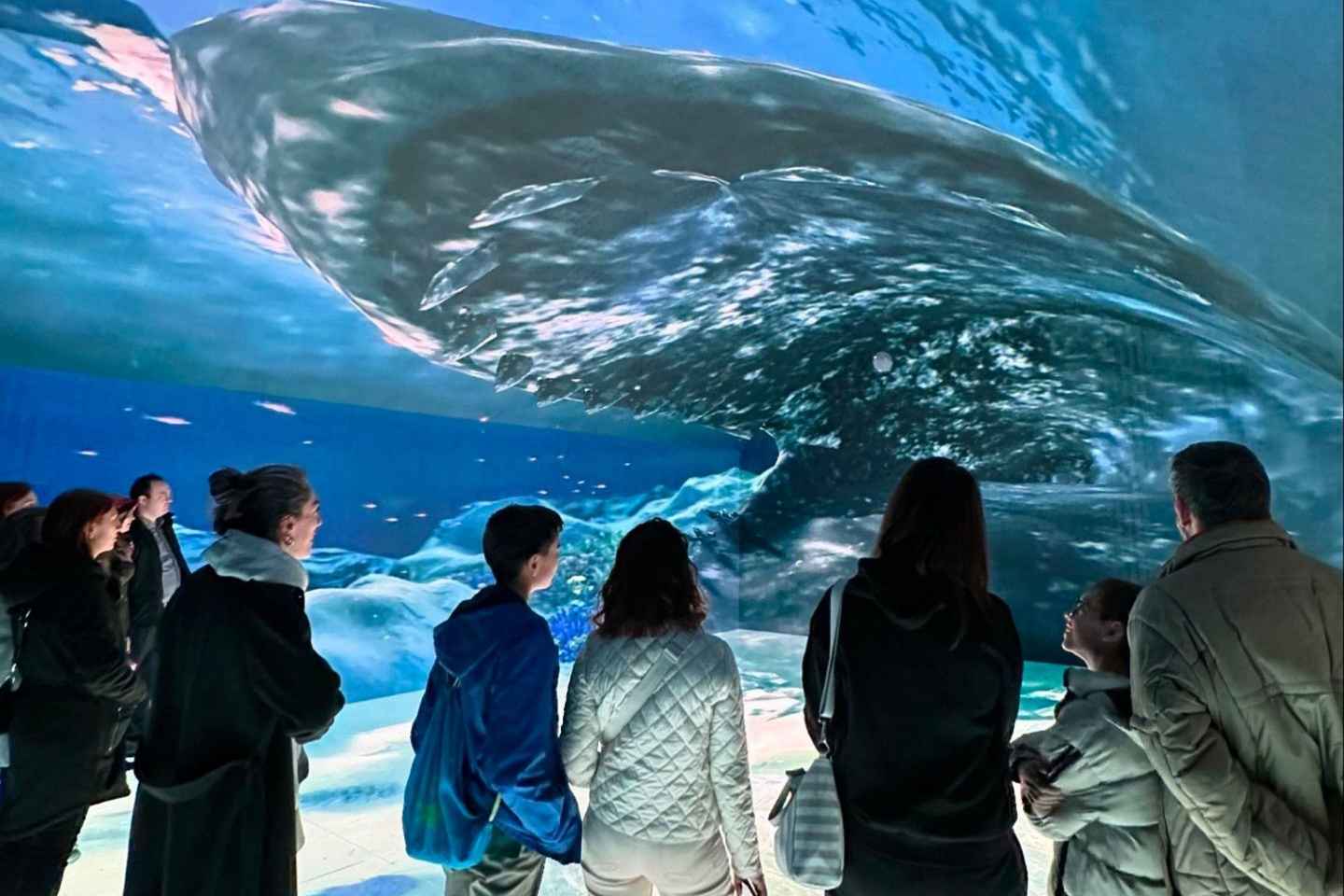 Digital Experience Museum Skip-the-Line Entry