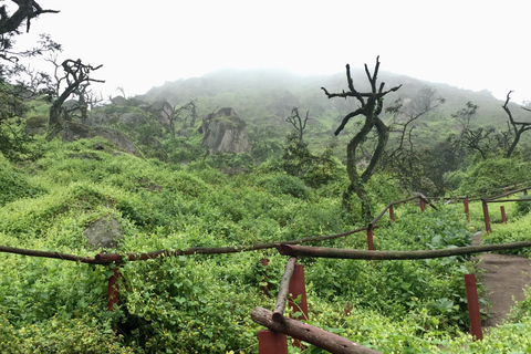 Wandelen in Lomas de Lachay in Lima