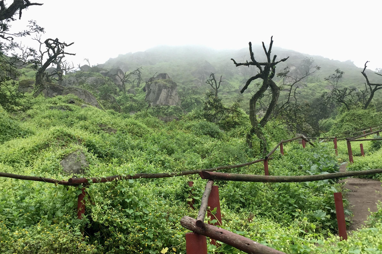 Wandelen in Lomas de Lachay in Lima