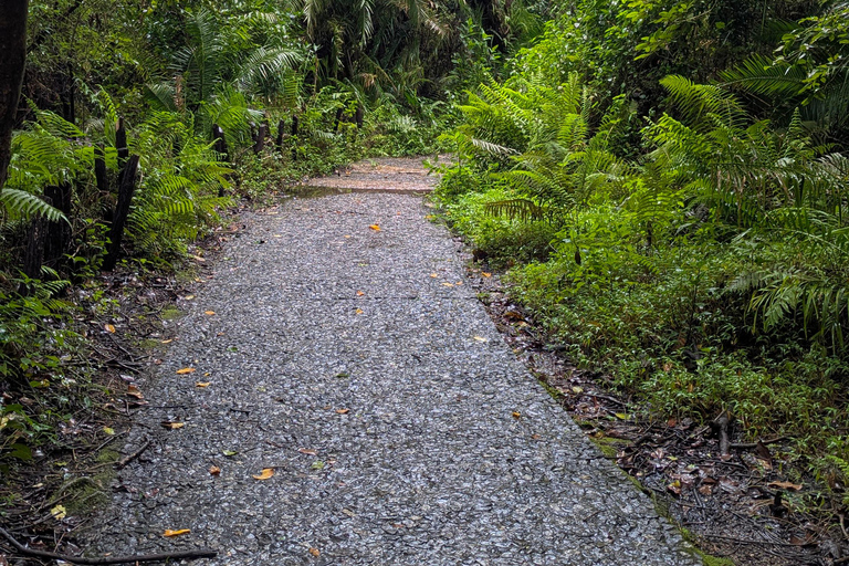 Victoria Falls Tour:Guided Walk with Female Guide