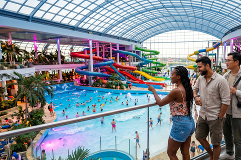 Therme Bucharest: Palm, Galaxy & Elysium Tickets & Transfer Therme : Palm, Galaxy & Elysium Tickets & Transfer 12 HOURS