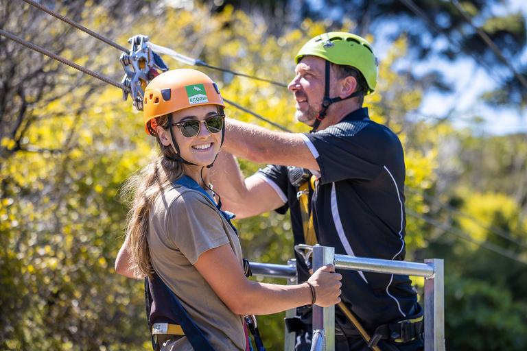 Waiheke Island Zipline & Native Forest AdventureMet ophalen en wegbrengen