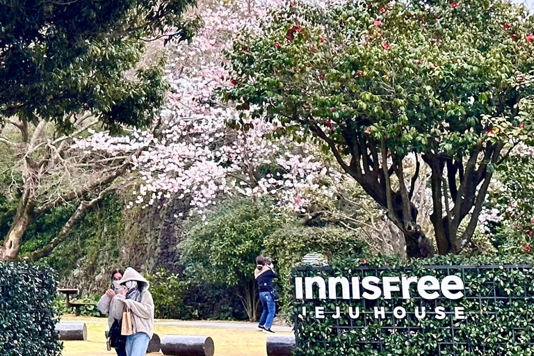 Jeju Trendy Café Tour including Hello Kitty Island