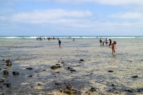 Salt Pans & Lemon Sharks Experience