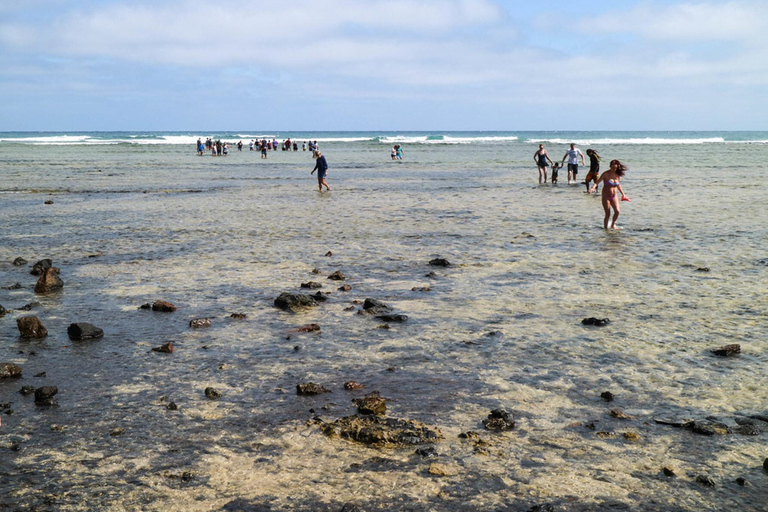 Salt Pans & Lemon Sharks Experience
