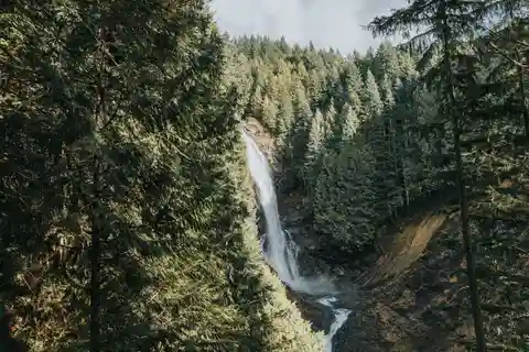 Сиэтл: поход в «Waterfall Wonderland» в парке Уоллес-Фолс