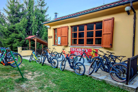 Gavi: E-Bike Tour with Wine Tasting