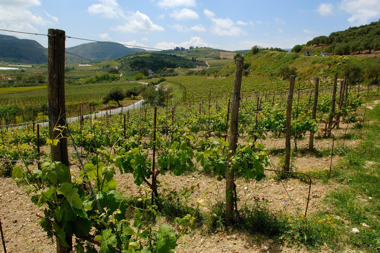 Kreta Olivenölverkostung, Wein, Raki und kretisches Essen!