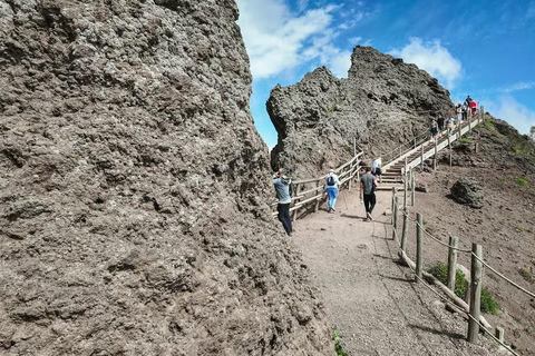 Naples: Mount Vesuvius and Herculaneum Tour with Guide Mount Vesuvius and Herculaneum with Digital Guide