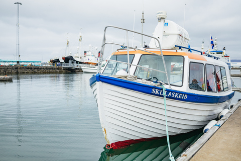 Reykjavik: passeio de barco para observação de papagaios-do-mar