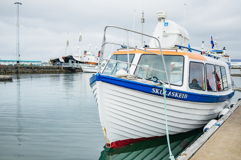 Reykjavik : Excursion en bateau pour observer les macareux