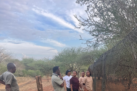 Moshi: Mkomazi National Park Day Trip with Game Drive