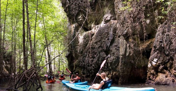 Krabi: A Kayaking Odyssey through Din Daeng Mangrove Maze