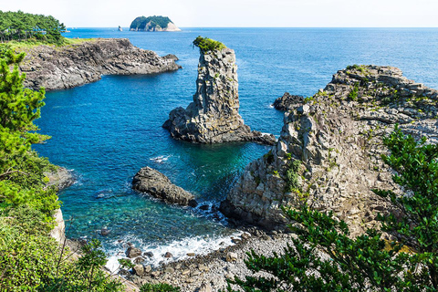 Jeju: UNESCO South & East Highlights 2 Days Combo Tour
