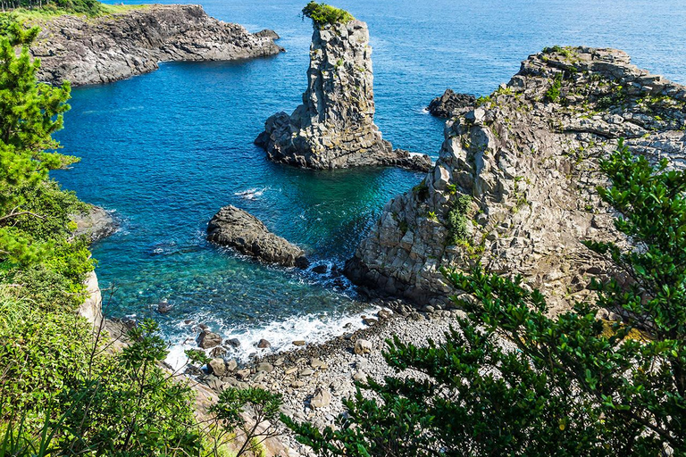 Jeju: UNESCO South & East Highlights 2 Days Combo Tour