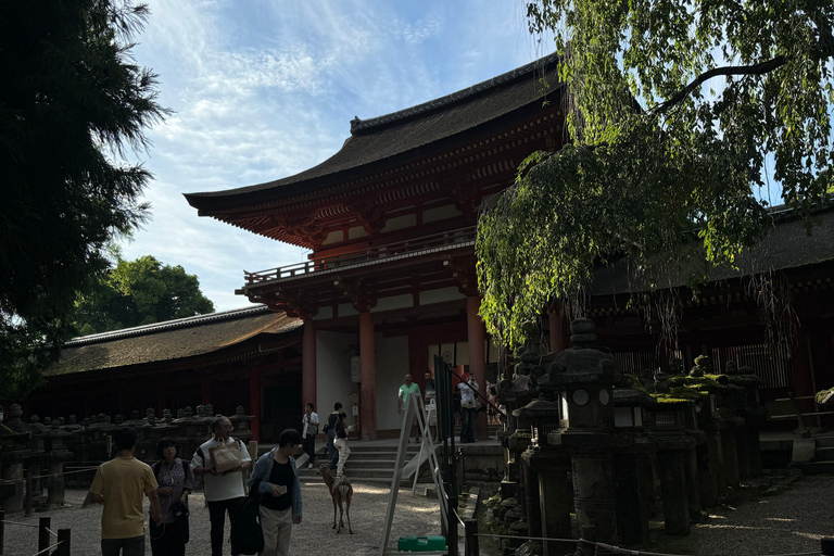 Nara : Visite guidée à pied avec le Grand Bouddha et les daims(5h)