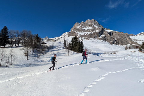 Chamonix: Guided Snowshoeing Tour with Equipment (4 people)