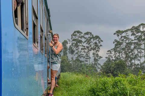 Kandy: Nanu Oya Scenic First Class Railway Experience