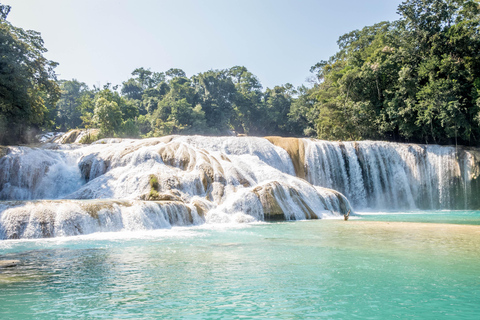 5-day, 4-night "Unforgettable Chiapas" tour (Tuxtla - Villahermosa). 5-day, 4-night "Unforgettable Chiapas" tour (double occupancy).