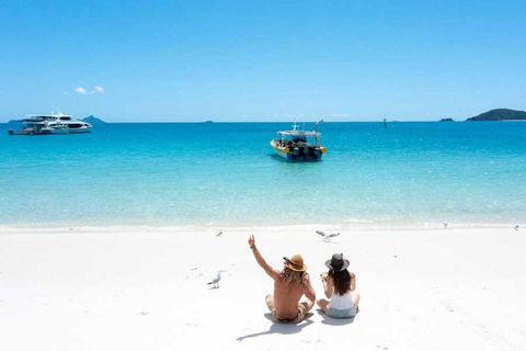 Whitsunday: Whitsunday Eilanden Tour met Snorkelen & Lunch