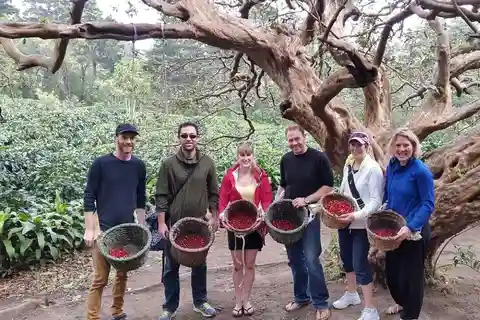 Monteverde: Coffee Farm & Roastery Tour with Tasting
