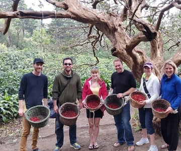 Monteverde: Coffee Farm & Roastery Tour with Tasting