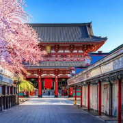 Tokyo Full Day Private Customizable Tour with English Guide
