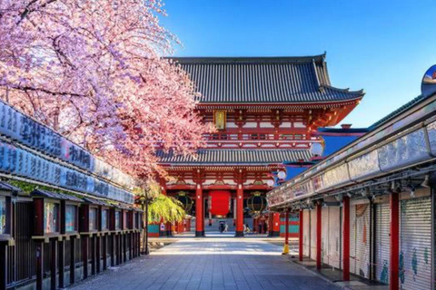 Tokyo Private Full-Day Customizable Tour with English Guide