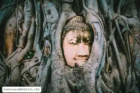 Giornata intera ad Ayutthaya e mercato galleggiante Wat Tha Ka Rong