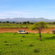 Explore Kidepo Valley National Park | GetYourGuide