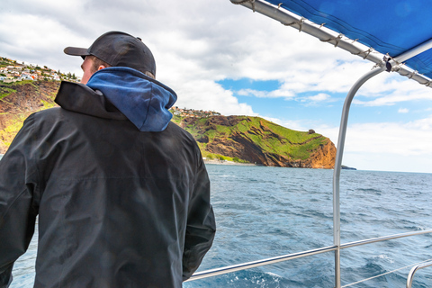 From Funchal: Madeira Dolphin and Whale Watching Tour