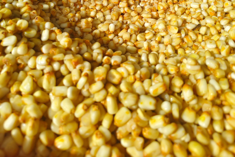 Full Day El Tunco + Clase Gastronómica frente al mar