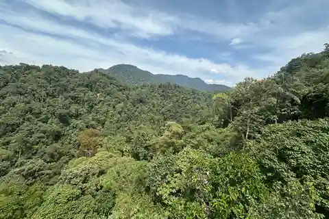 Da Quito a Mindo: Foresta nuvolosa e cascate in 1 giorno.