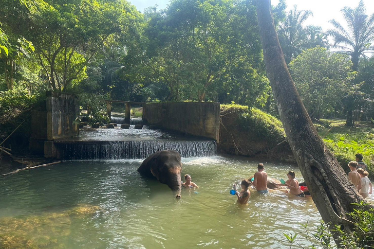 Krabi: Cattery's Ultimate Jungle Odyssey w/ Thrilling Addons Emerald Pool + Krabi Hot Spring + Tiger Temple + 30 min ATV