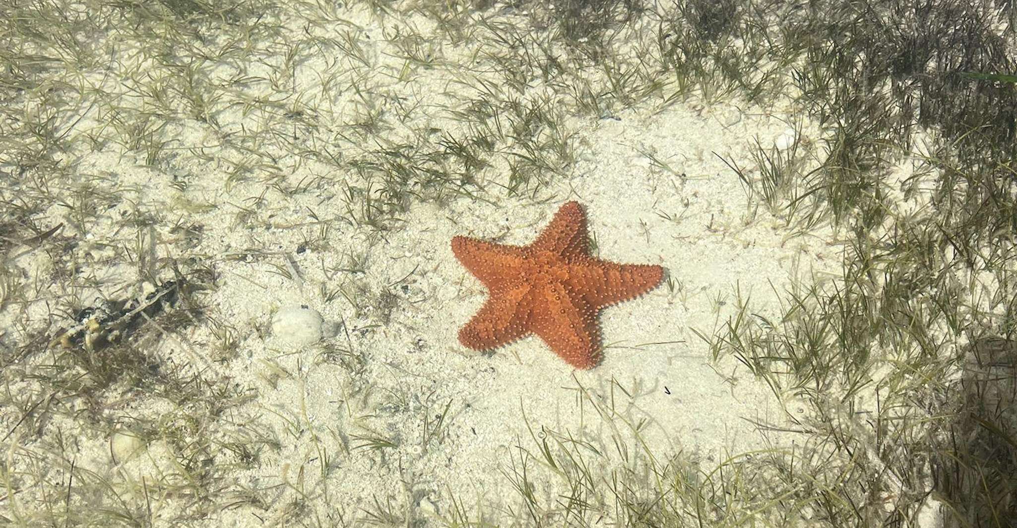 Miami: Celebrity Houses and Star Island Boat Tour photo 11