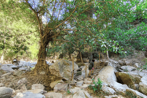 Chiang Mai: Secret Waterfall & Bamboo rafting