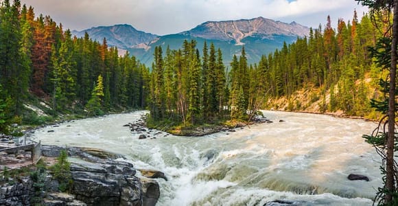 Wildes Abenteuer in Jasper und Banff mit Picknick und Getränken