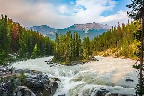 Calgary: Day Trip to Jasper with Lunch