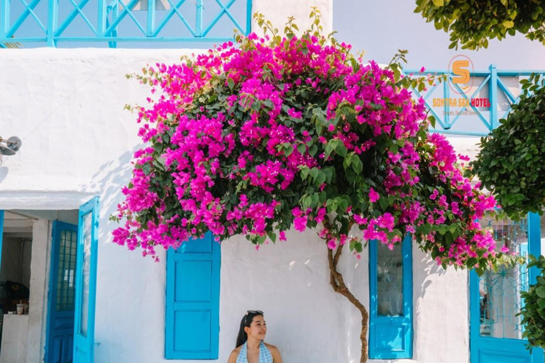 Đà Nẵng: Linh-Ũng-Pagode, Jachthafen &amp; Schnorcheltour